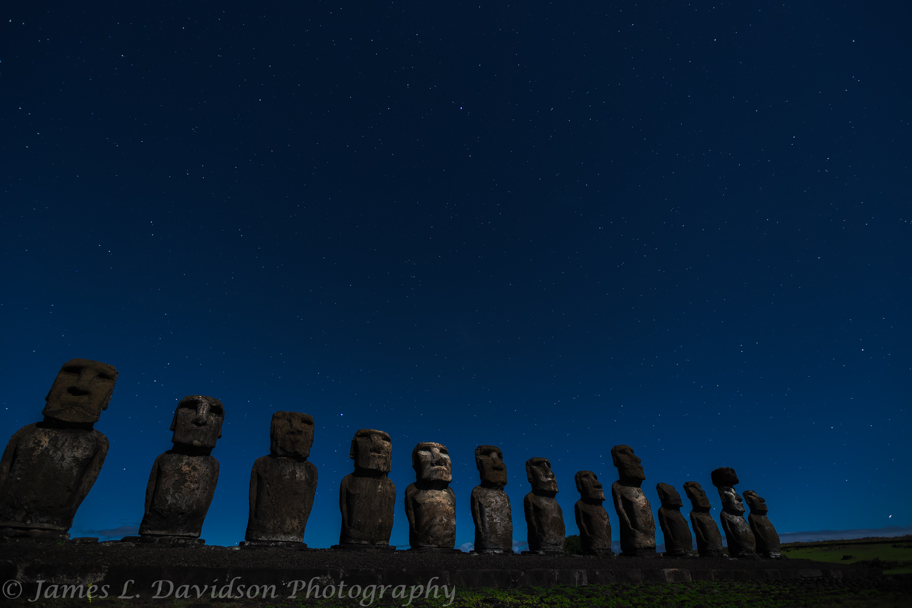 Basking_In_The_Moonlight