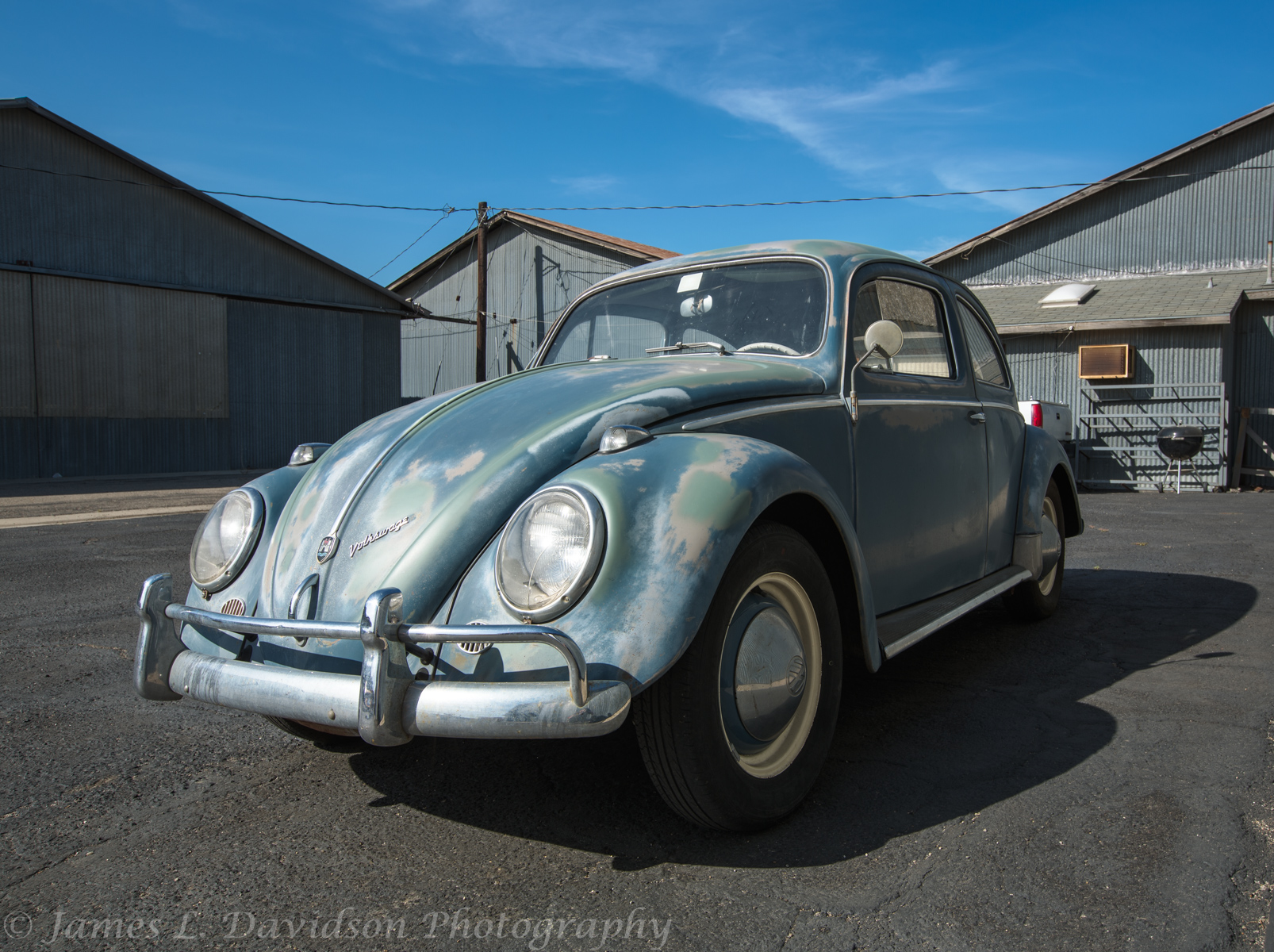 Old Bug